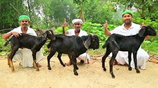 30 KG Mutton Curry Recipe  Mutton curry recipe cooking for village poor people  Helping kitchen [upl. by Lexine728]