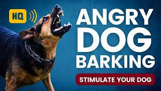 Angry Dog Barking 🐕 High Quality Angry Dog Sound Effects Compilation [upl. by Schlessel]