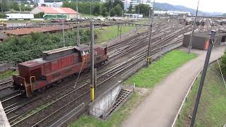 Bahnverkehr Schweiz Am 66 im Rangierbahnhof Limmattal  August 2013 [upl. by Verdi897]