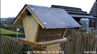 Vogelfutterhaus selber machen [upl. by Ydnam]