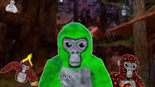 trolling as j3vu in gorilla tag mad kid leave [upl. by Atinad892]