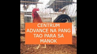 Sabong tips CENTRUM ADVANCE NA PANG TAO PARA SA MANOK [upl. by Giselbert]