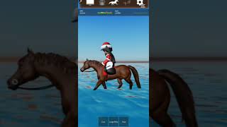 Trotting trotting water horse equestrian trot QuinnplayzstridewayOffical [upl. by Okimuy]