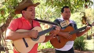 Avaré e Jataí  Pagode na roça [upl. by Jarrow235]