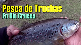 Pesca de Truchas en Rio Cruces [upl. by Enorahs]