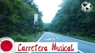 Carretera Musical Subaru Line Fuji Japan Japón 2014 [upl. by Gnaoh226]