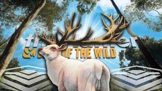 MAX WEIGHT ALBINO DIAMOND RED DEER My New Favorite Super Rare Call of the wild [upl. by Alegnasor]