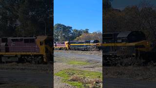 Seymour Rail Heritages C501 pulling passenger cars into Benalla Victoria on the Slow Rail Journey [upl. by Einniw]