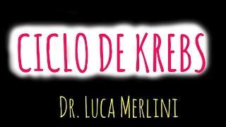 Ciclo de Krebs [upl. by Ayiak]