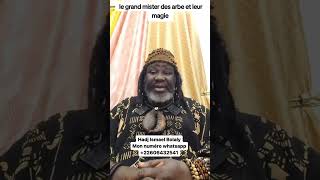 Mon whatsapp22603809292 ou 22606432541spiritualiteafricaine hadjismaelbolaly hadjismaelbohlaly [upl. by Llednol]