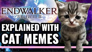 The Story of FFXIV Endwalker Explained With Cat Memes [upl. by Anahahs]