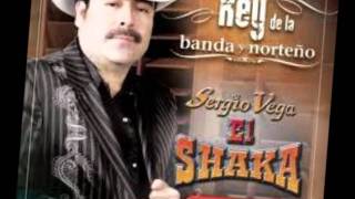 sergio vega  el coco [upl. by Gorlicki66]