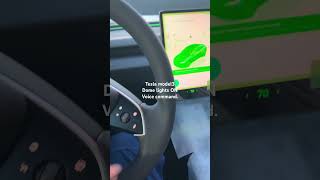 shorts Tesla model 3 Dome lights ON voice command tesla la [upl. by Noved583]