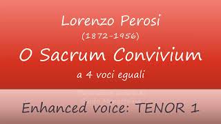 Lorenzo Perosi  O sacrum convivium TTBB  Enhanced TENOR 1 [upl. by Itak]