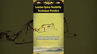 Lumbar Spine Flexibility Technique Practice [upl. by Studley]