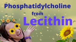 Phosphatidylcholine from Lecithin Brain SUPER Food [upl. by Aryamo]