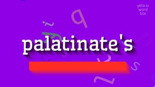 HOW TO PRONOUNCE PALATINATES [upl. by Nitsirhc706]