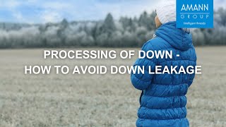 Processing of down  how to avoid down leakage [upl. by Nossah]