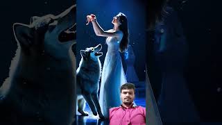 A woman fuses with a wolf on AGTagt americasgottalent magic [upl. by Ivek]