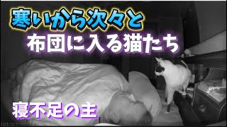 寒いから主を叩き起こし布団の中に入って来る猫たち。Cats in the futon [upl. by Akimik660]