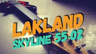 Lakland Skyline 5502  quick tone settings [upl. by Isherwood584]