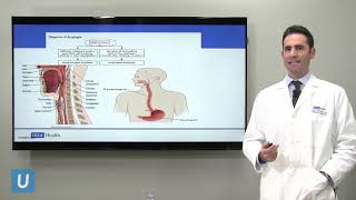 Evaluation and Treatment of Dysphagia Craig Gluckman MD  UCLAMDChat [upl. by Haseena]