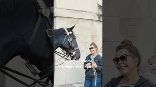 The Blues and Royals highlights travel horse london horseguards history history [upl. by Randell]