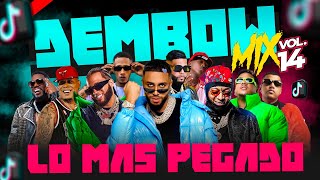 DEMBOW MIX VOL 14 🎵 LOS DEMBOW QUE MAS SUENAN EN TIKTOK Y LA CALLE 2O23 🎤 MEZCLADO POR DJ ADONI [upl. by Materse279]