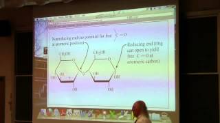 24 Biochemistry Lecture Carbohydrate Structure from Kevin Aherns BB 350 [upl. by Quincey271]