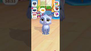 Love li pet la petlover talkingtom funny games [upl. by Hersh]