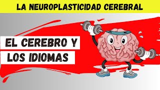 ¿Qué Pasa En TU CEREBRO Cuando Aprendes Varios IDIOMAS [upl. by Noed]