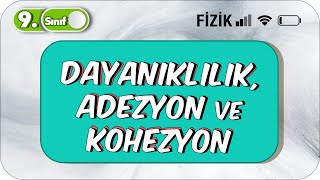 Dayanıklılık Adezyon ve Kohezyon  Somut Örneklerle Anlatım  9Sınıf Fizik 2023 [upl. by Aifoz]