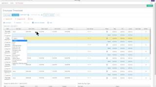 NBRC Paylocity 2 adjusting timesheet 2 [upl. by Notgnimer]