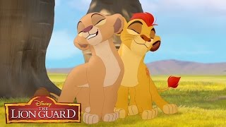 The Lion Guard quotHakuna Matataquot Song From The Lion King 🎶  disneyjr [upl. by Veronika]