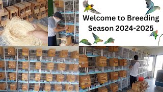 Welcome to Breeding Season 20242025  HWI Aviary [upl. by Aianat]