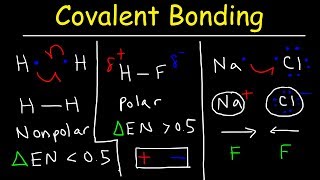 Polar Covalent Bonds and Nonpolar Covalent bonds Ionic Bonding  Types of Chemical Bonds [upl. by Acir952]