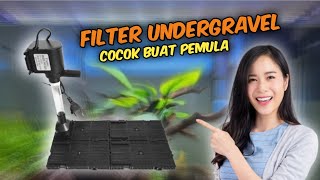 cara pasang undergravel filter power head [upl. by Otilia]