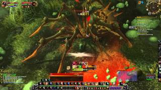 HowtoGet personal wingmen in WoW Warlords of Draenor [upl. by Pillsbury24]