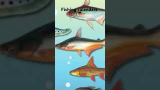 fishing calendar [upl. by Paehpos412]