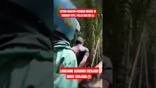 SULIT SEKALI UNTUK DI TANGKAP😭😱 tniindonesia tnirakyat tniaddihatirakyat beritaterkini news [upl. by Currier104]