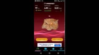 SpeedTest Easter Egg  Ookla cat [upl. by Hadleigh]