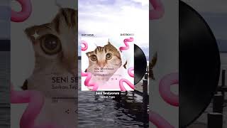 Seni seviyorum seniseviyorum live remix music cover song newmusic dj live sevgililergünü [upl. by Ardelia]