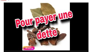 CETTE RECETTE CEST POUR FAIRE TOUTE DEMANDE ARGENT REMBOURSEMENT CREDIT PROMOTION VISA [upl. by Ynnek159]