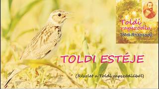 TOLDI RAPSZÓDIA RÉSZLET III ‒ TOLDI ESTÉJE [upl. by Alliuqat]