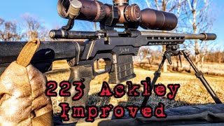 223 Ackley Improved My rifle and cartridge overview [upl. by Amihc]