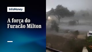 IMAGENS Furacão Milton arranca árvores na Flórida [upl. by Aicatan65]