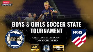 Chaska vs Chanhassen  2024 MSHSL High School Girls Soccer Playoffs [upl. by Eiralih541]