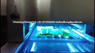 UV sterilization machine [upl. by Nilya]