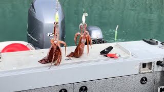 Squid Jigging in Whittier Alaska using Hardwire Tackle Squid Jigs [upl. by Vergil602]