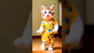 Cute cat dance 😂😂trendingshorts viralvideo shortsfeed shortsviral youtubeshort shorts [upl. by Grieve]